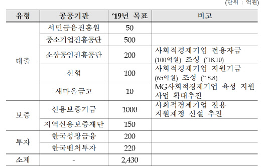 2019년도 사회적경제기업에 대한 지원 계획. 금융위원회 제공